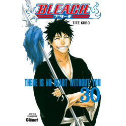BLEACH  TOME 30  THERE IS NO HEART WITHOUT YOU