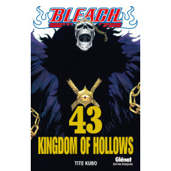 BLEACH  TOME 43  KINGDOM OF HOLLOWS