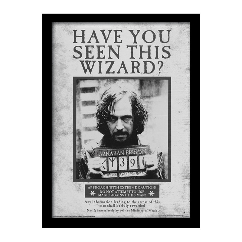 SIRIUS WANTED HARRY POTTER COLLECTOR FRAME 45 X 34 CM