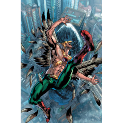 HAWKMAN 10