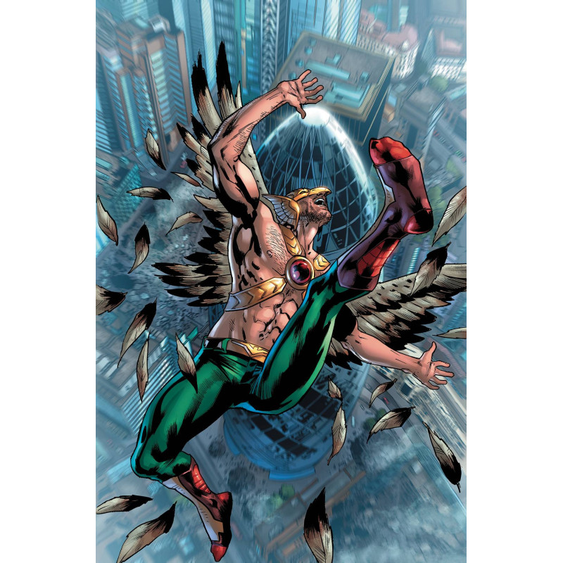 HAWKMAN 10