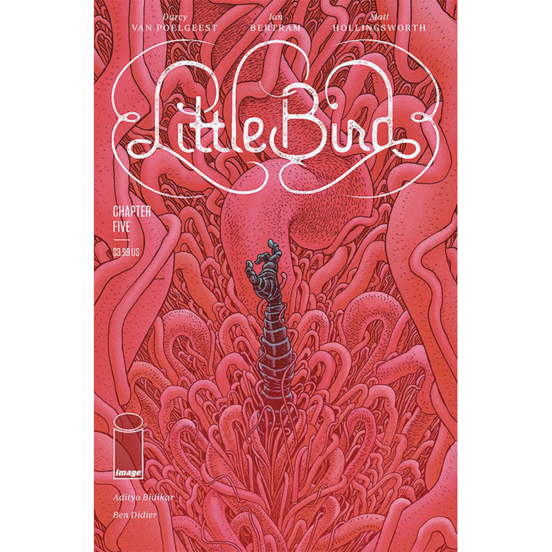 LITTLE BIRD  5