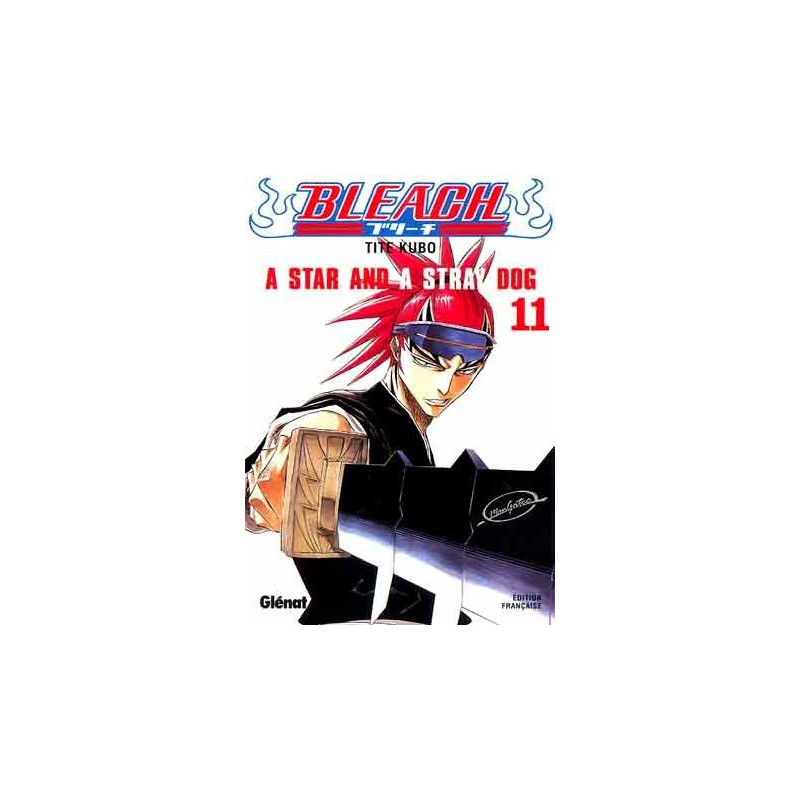 BLEACH - TOME 11 A STAR AND A STRAY DOG