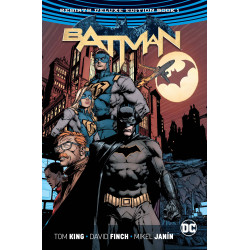 BATMAN DELUXE ED VOL 1 HC