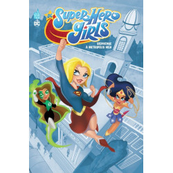DC SUPER HEROS GIRLS  DC SUPER HERO GIRLS METROPOLIS HIGH