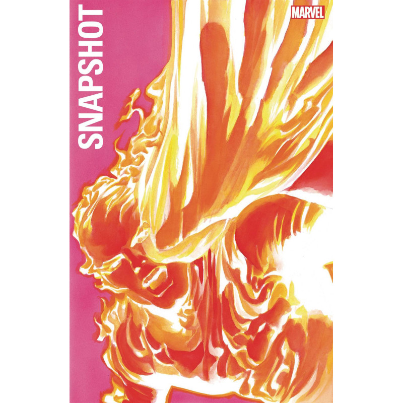 FANTASTIC FOUR MARVELS SNAPSHOT  1 