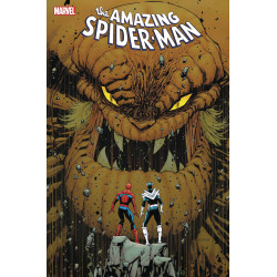 AMAZING SPIDERMAN  43