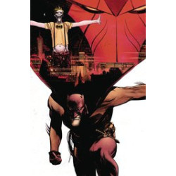BATMAN CURSE OF THE WHITE KNIGHT HC 