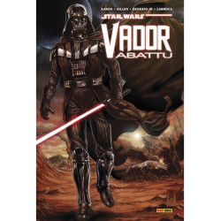 STAR WARS  VADOR ABATTU