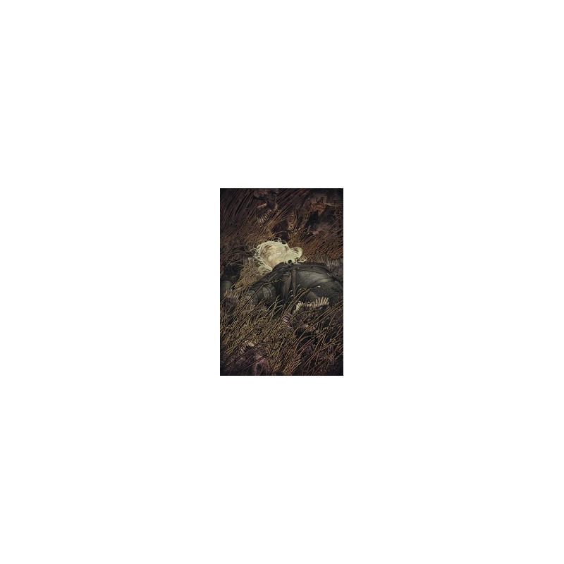 WITCHER FADING MEMORIES  2 CVR A CAGLE