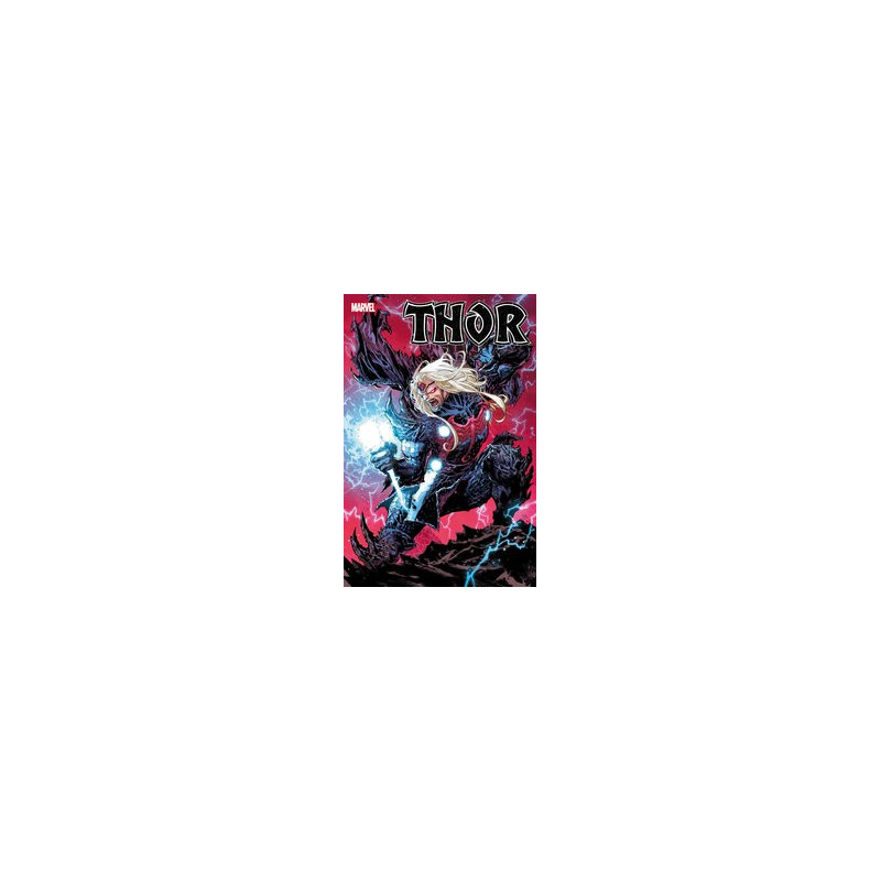 THOR  10 LASHLEY KNULLIFIED VAR