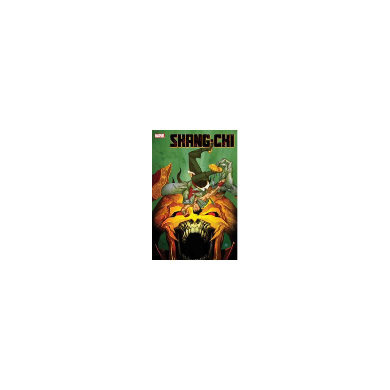 SHANGCHI  4