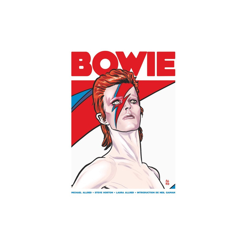 DAVID BOWIE  UNE VIE ILLUSTREE