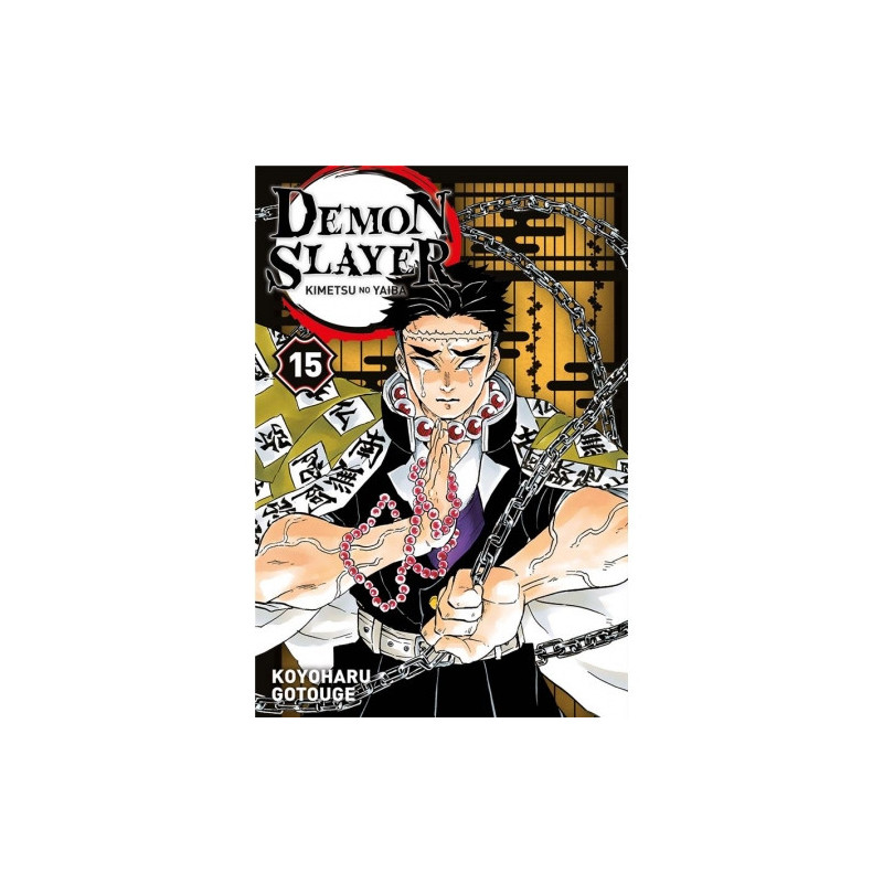 DEMON SLAYER T15