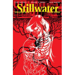 STILLWATER BY ZDARSKY   PEREZ TP VOL 1