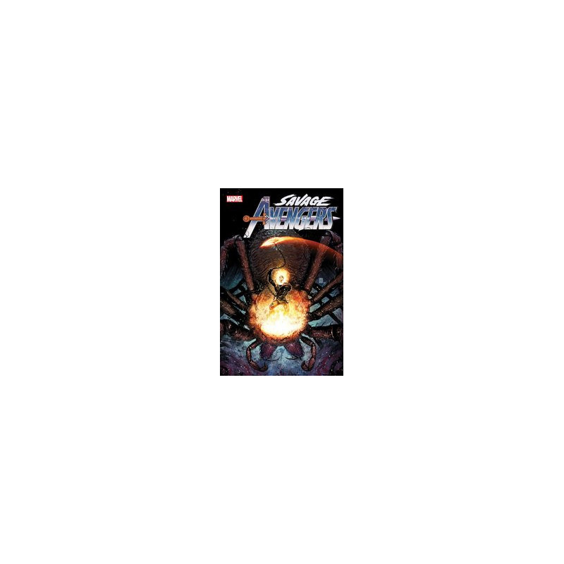 SAVAGE AVENGERS  22