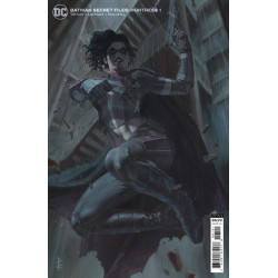 Batman Secret Files Huntress  1 Riccardo Federici Cardstock Variant