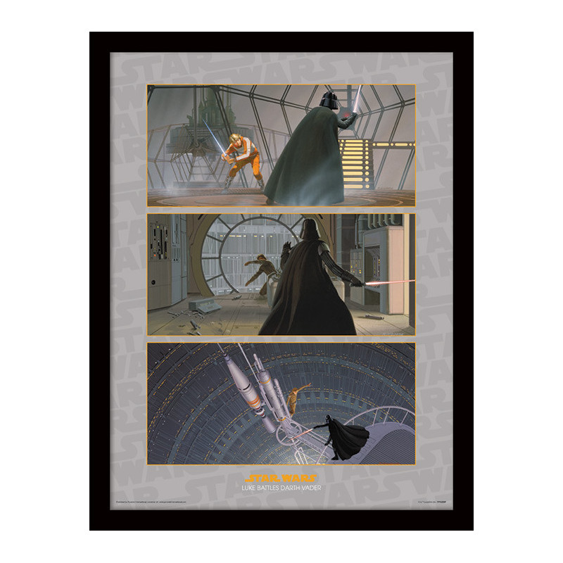 LUKE BATTLES DARTH VADER STAR WARS