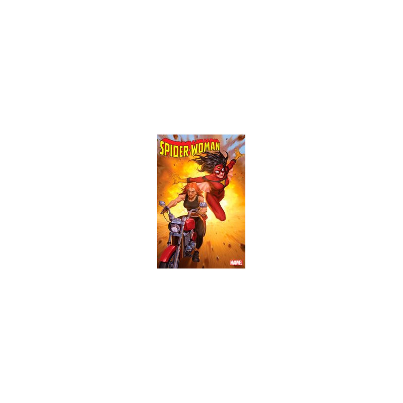 SPIDERWOMAN  17