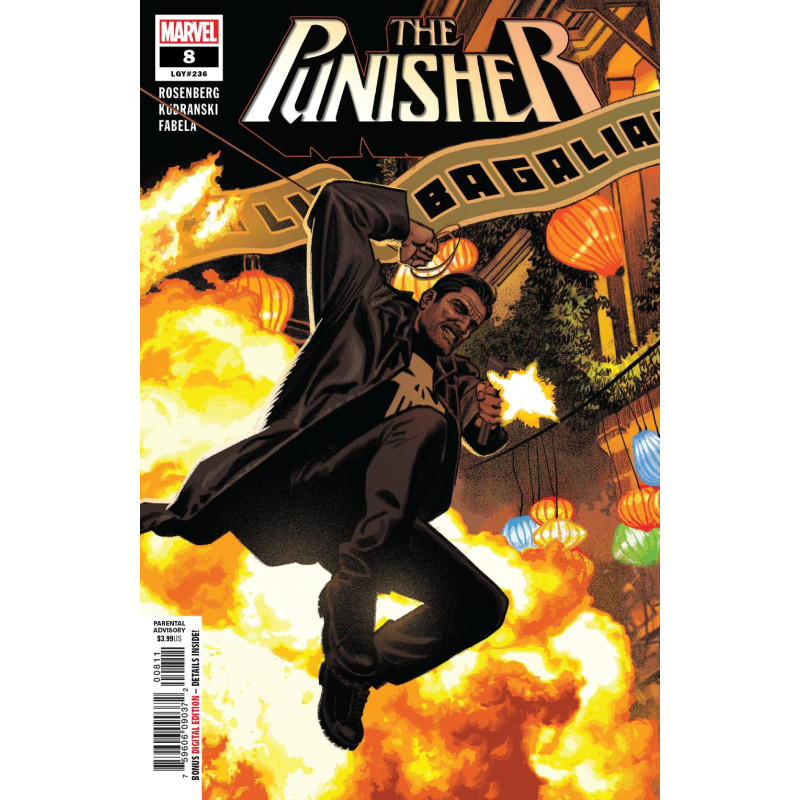 PUNISHER 8