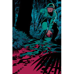 APACHE DELIVERY SERVICE  2 CVR B ROMERO