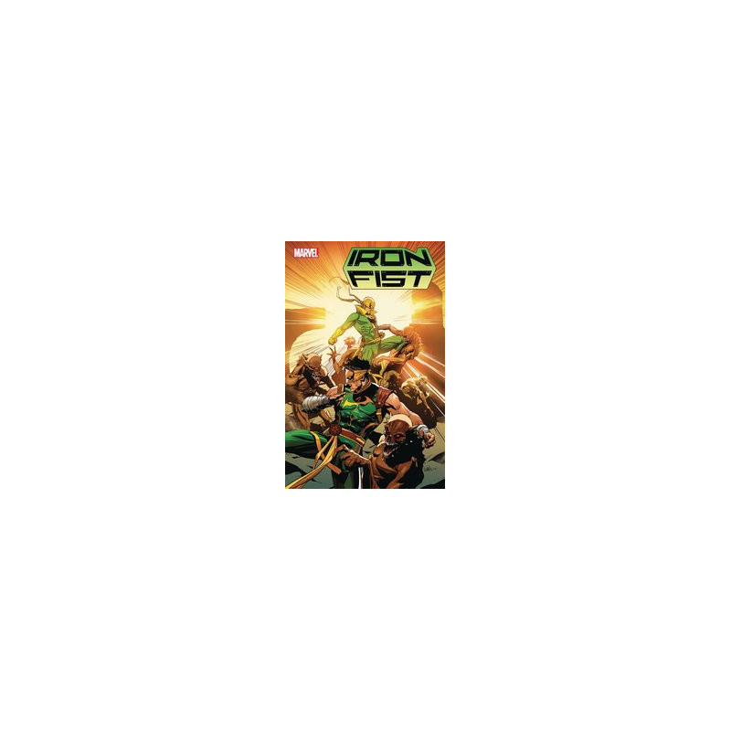 IRON FIST  2