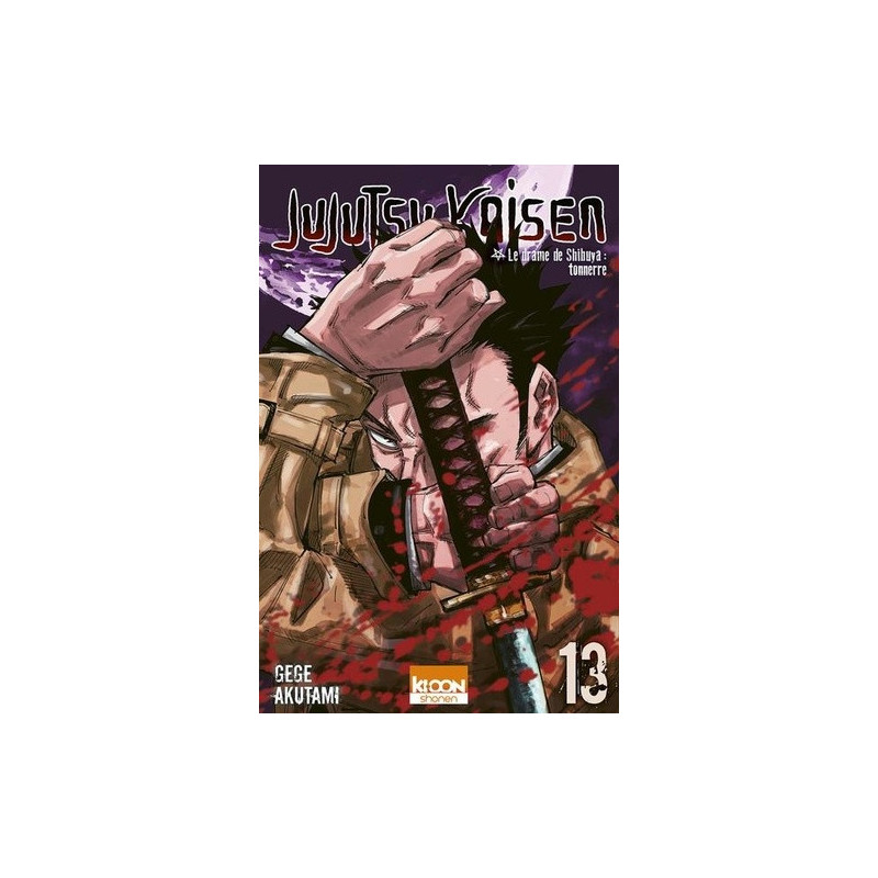 JUJUTSU KAISEN T13