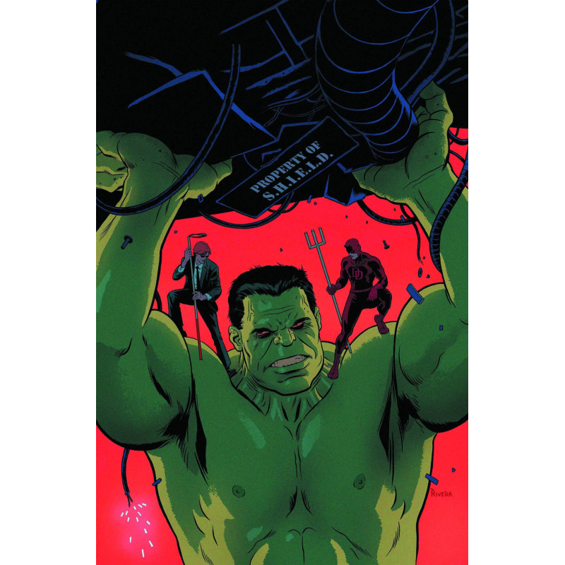 INDESTRUCTIBLE HULK 9 NOW