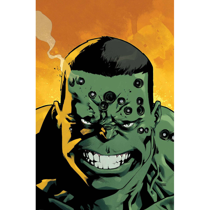 INDESTRUCTIBLE HULK 20