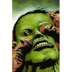 HULK AND THING HARD KNOCKS 4 OF 4