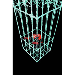 SUPERIOR SPIDERMAN 11 NOW