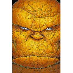 ULTIMATE FANTASTIC FOUR 14