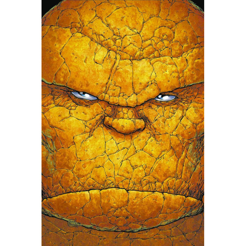 ULTIMATE FANTASTIC FOUR 14