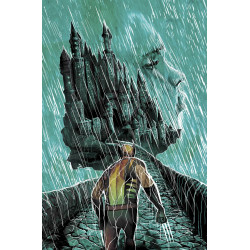 WOLVERINE 316