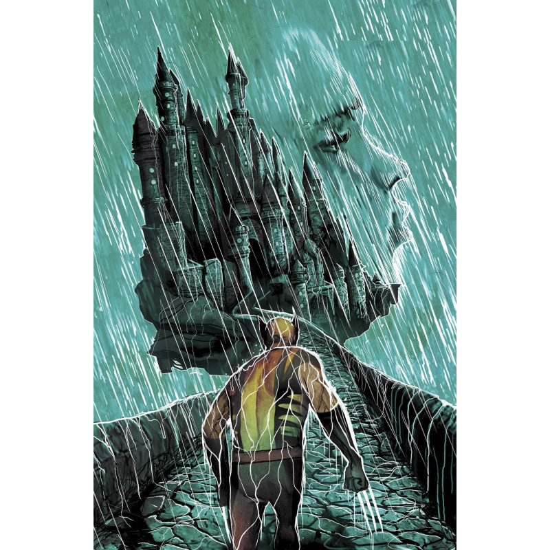 WOLVERINE 316