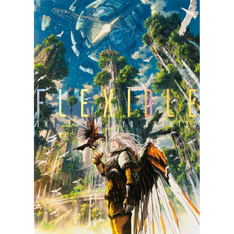 FLEXIBLE THE ART OF YO SHIMIZU ANGLAISJAPONAIS