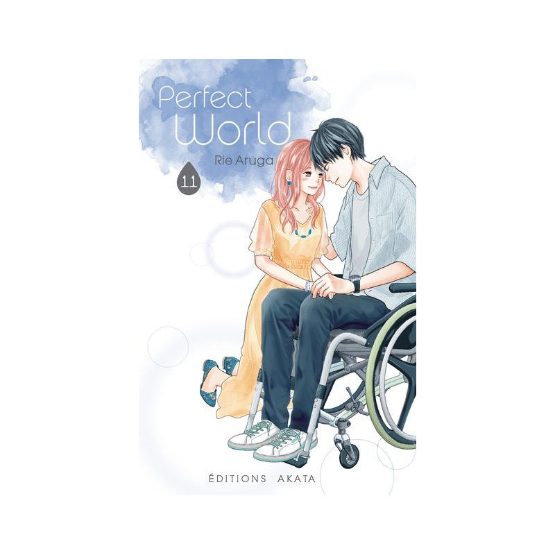 PERFECT WORLD  TOME 11