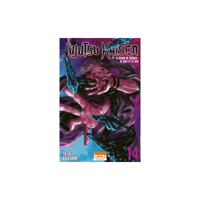JUJUTSU KAISEN T14