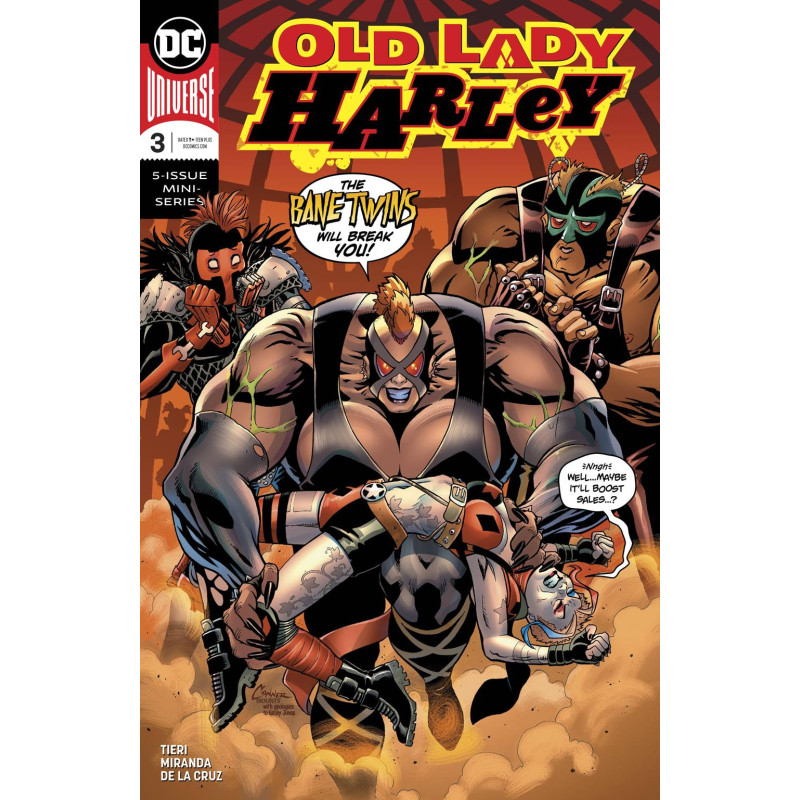 OLD LADY HARLEY 3  OF 5 