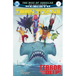 TEEN TITANS 7