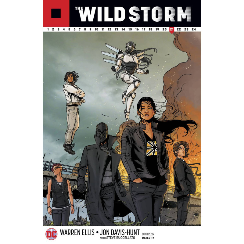WILD STORM 22