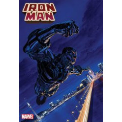 IRON MAN  22