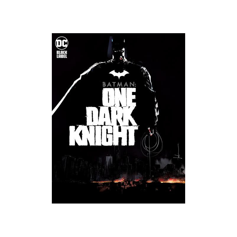 BATMAN ONE DARK KNIGHT HC  MR 