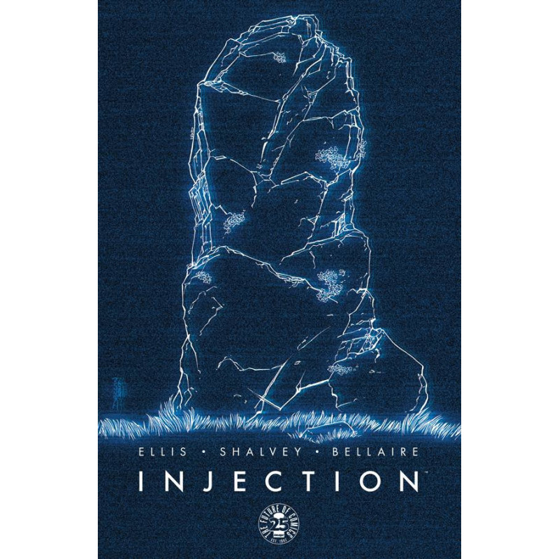 INJECTION 12 CVR B SHALVEY AND BELLAIRE  MR 