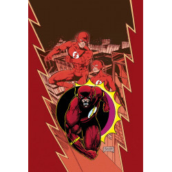 FLASH BY WAID VOL.1