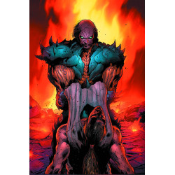 XO MANOWAR 10 REG HAIRSINE CVR