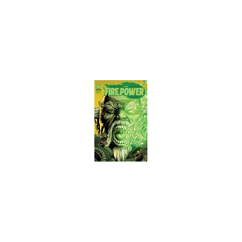 FIRE POWER BY KIRKMAN   SAMNEE  24 CVR B FINCH   MCCAIG