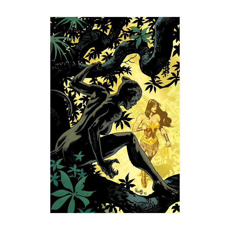 WONDER WOMAN  791 CVR A YANICK PAQUETTE