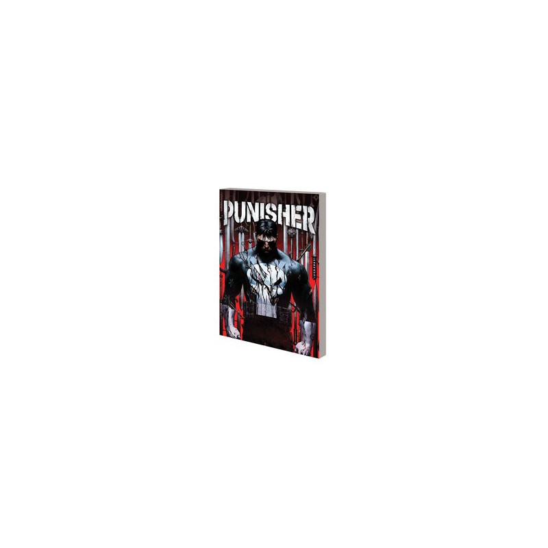 PUNISHER TP VOL 1 KING OF KILLERS BOOK ONE