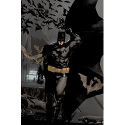 BATMAN URBAN LEGENDS  20 CVR C EDWIN GALMON VAR